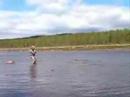 ARCTICPIKEFLY