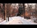 Introduction to The Yoga Cottage
