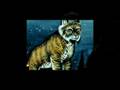 videos de Message from Mother