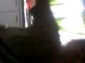 videos de yo bailando cualkier gilada XD ._.