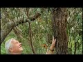 I Hate Nature - Olde English Comedy