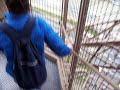 Running on stairs Eifel Tower