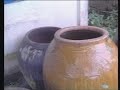 armadilha-caseira-contra-mosquito-da-dengue.html