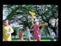 Agung Podomoro Group Dir's Cut