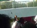 Anipop Matsuri 2008 - Kuroi Star - Dir en Grey - Obscure /Last Song