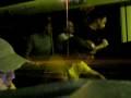 videos de Train of Sound - Number 3 - Part 9