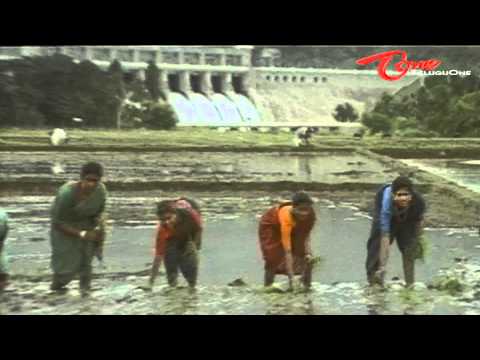 Sneham Kosam, Chiranjeevi, Meena, Brahmanandam, Vijay Kumar, Kota Srinivasa Rao, Prakash Raj, M S Narayana, Sithara, M Mallikarjuna Rao, Nirmalamma, Babu Mohan, K S Ravi Kumar, A M Rathnam, Jyothi Krishna, S A Rajkumar, Sri Surya Movies