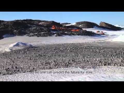 Emperor penguins threatened by global warming | Dear Kitty. Some blog