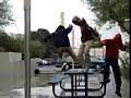 a lost unicorn  skate benches