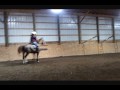 Saddle Starz Round 2