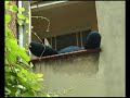 Sun OK Papi K.O. - Koyesyes n°2