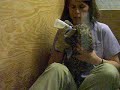 Saint Louis Zoo - Baby Amur Leopard