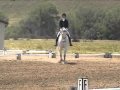 Lambo Dressage Test