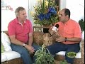 Mundo aurinegro # 10 - Francovigh parte 2