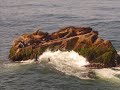 Mazatlan Sinaloa