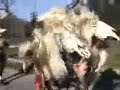 Grobni??ina zvoni 2007. - Grobni?ki dondola?i Grobni??ina zvoni 2007. - Grobni?ki dondola?i
