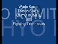 Wado Karate Ohyo Kumite and Fighting Techniques
