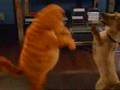 garfield 2007