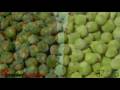 YouTube - Insidermedicine in 60 - December 10, 2007