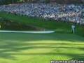 tiger woods amazing shot