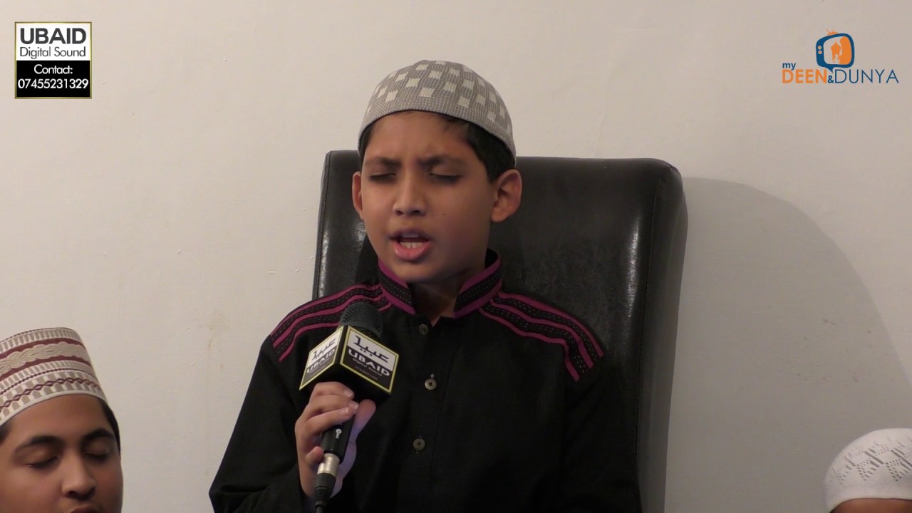 Talha Tariq 