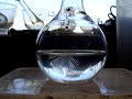 Superaturated Sodium Acetate (Slow Crystalization) Superaturated Sodium Acetate (Slow Crystalization)