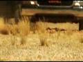 Mini Gun On SUV
