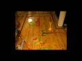 videos de Domino Day 3