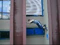 See video