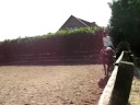 Suzanne op ronnie,