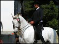 L'écurie de la Roserie en spectacle