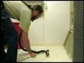 King-Cobra-Misbehavi