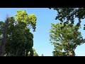 【真田まこと】５月３日GWゴールデンウィーク期間中しらこばと水上公園プール撮影会中にしらこばと水上公園敷地内をランニングし続ける真の男　#shorts