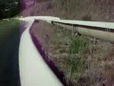 Alpine Slide
