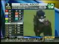 Yeats - Gold Cup 2009 - The Greatest Day