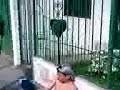 La Garza Sosa Mojadita!! - by EL PIBE GUACHO!! La Garza Sosa Mojadita!! - by EL PIBE GUACHO!!