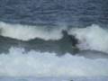 trip garopaba surf