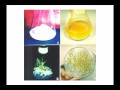 Mezőgazdasági biotechnológus mérnöki MSc