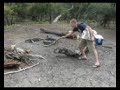 Giant Lizard Invades our Camp!