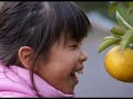 だんだん/song by ロッカ　（松江，thank you，ARIGATO）