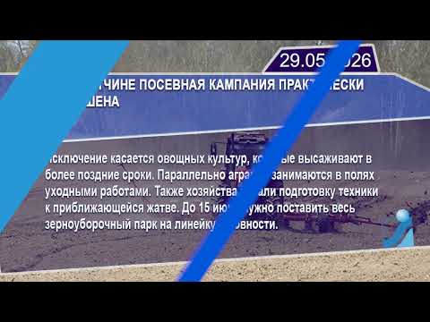 Новостная лента Телеканала Интекс 29.05.26.