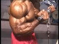 Bodybuilder-David-He