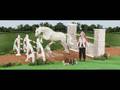 videos de Breyer News: Breyer Horse Gift Sets!