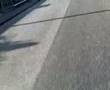 Simonini-Racing-1-te