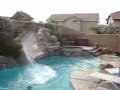 Веселая собака