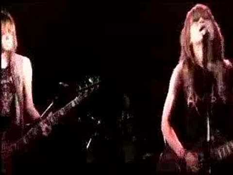Gallhammer - Hallucination