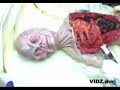 Alien Autopsy Secrets Revealed