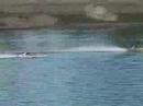 Venom Segad & King of Shaves Petrol Boats