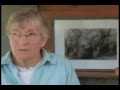Losing the Elephants Trailer