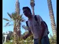 איפה הביצים של שוקי..